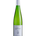 Sylvaner Vieilles Vignes 2023 Bio