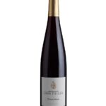 Pinot noir 2023 Bio